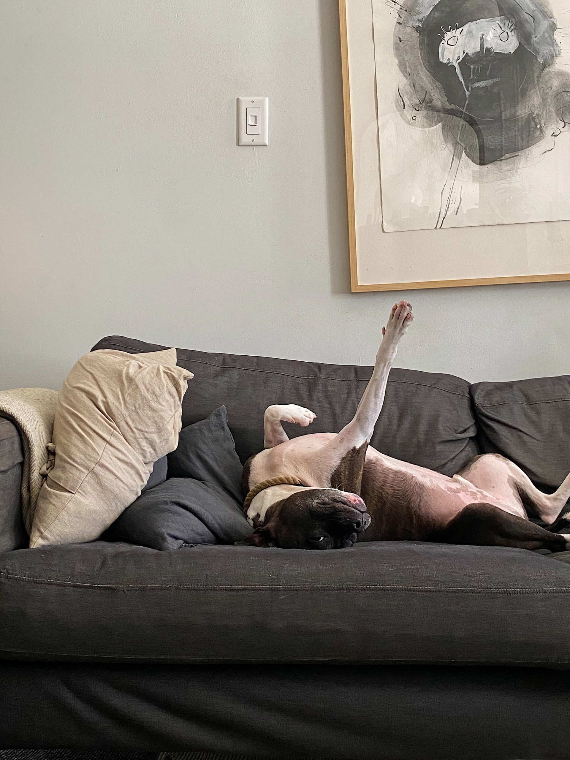 Big Stretch