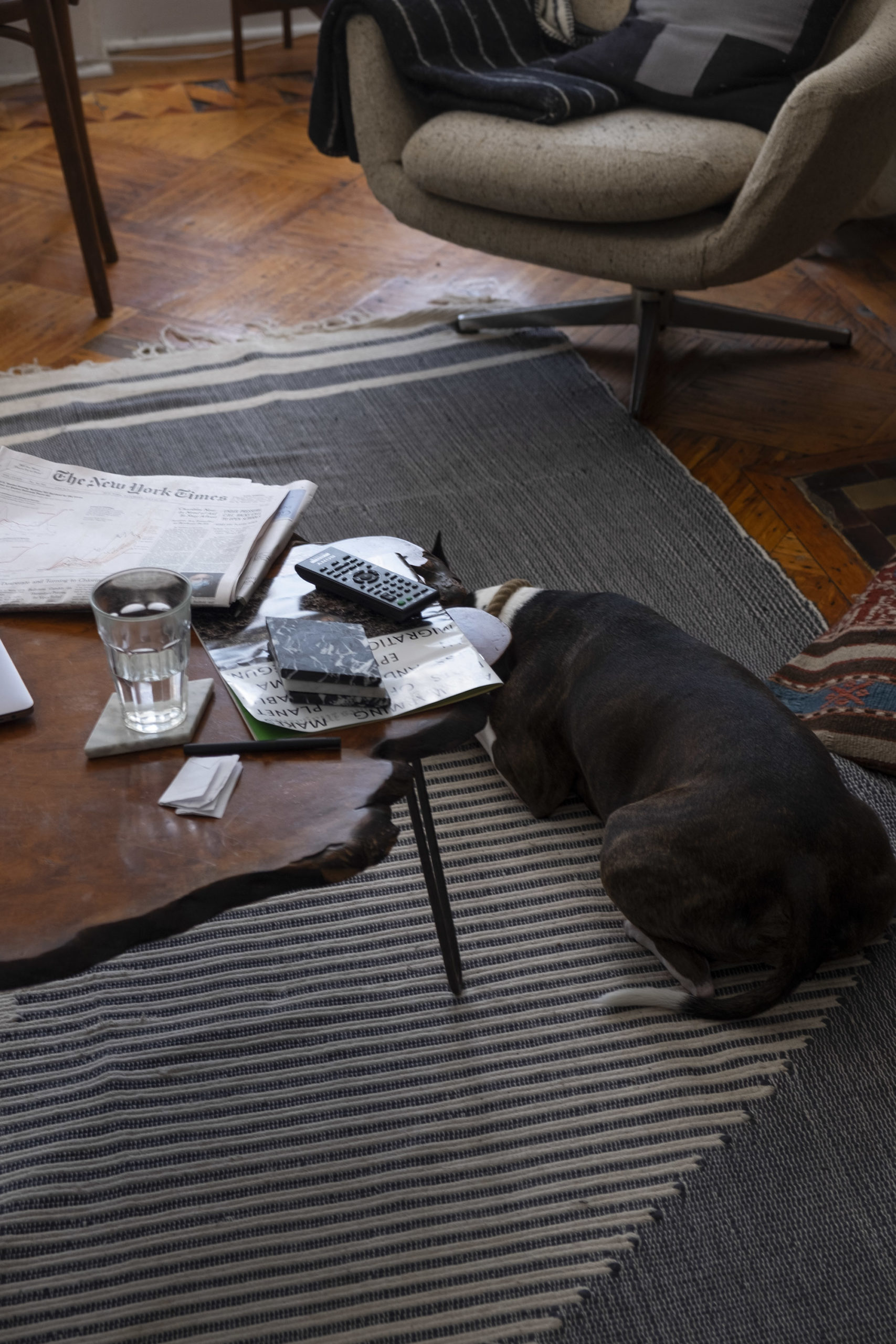 Napping With The Coffee Table