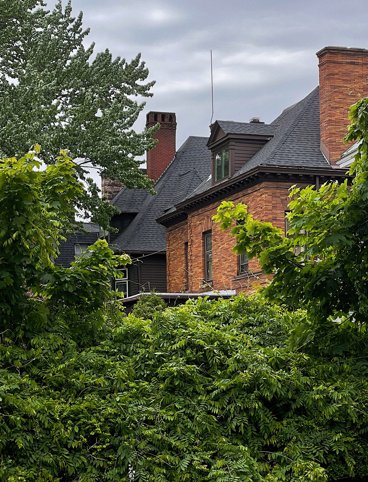 House and Bushes