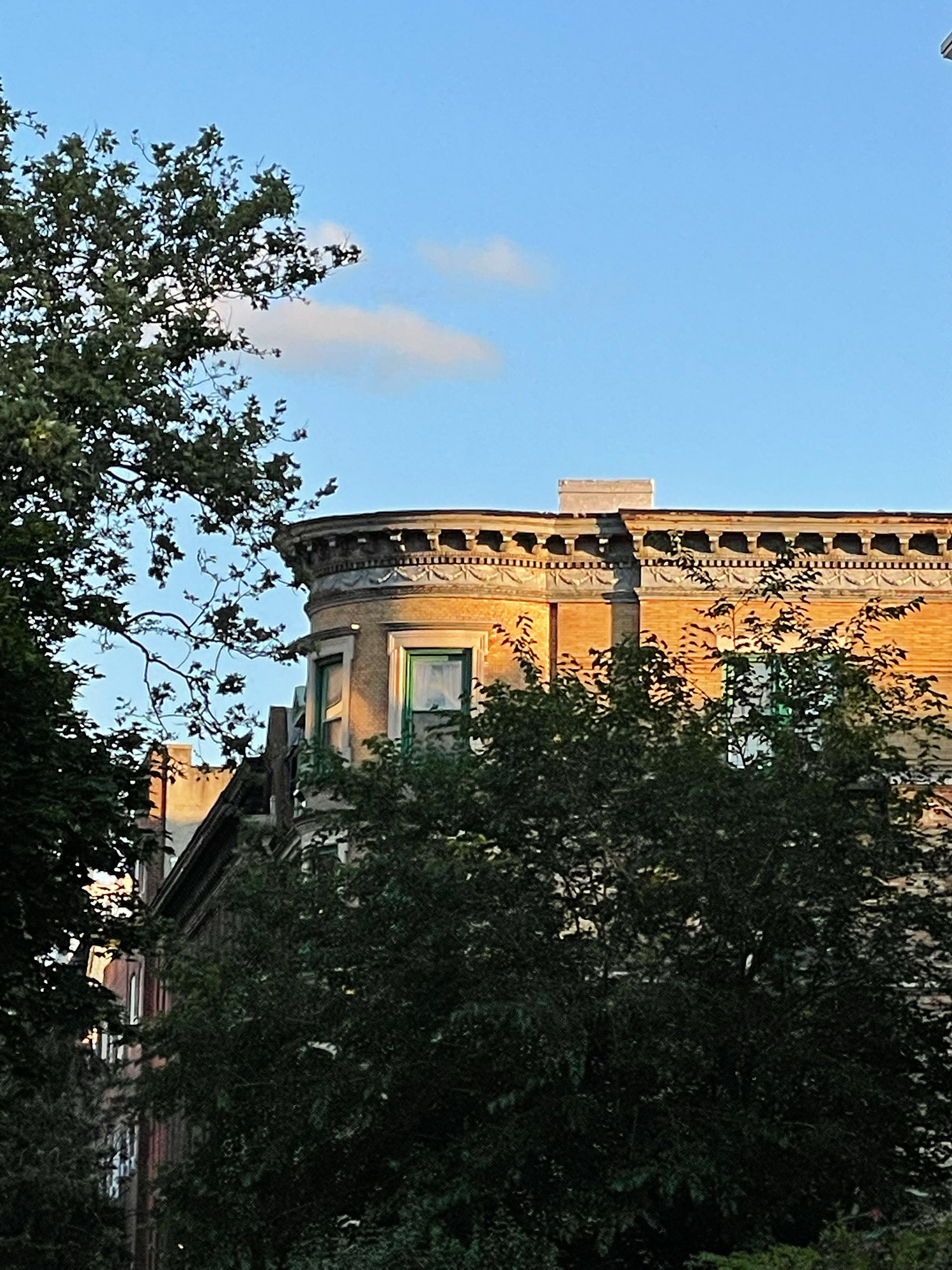 Clinton Hill Roofline
