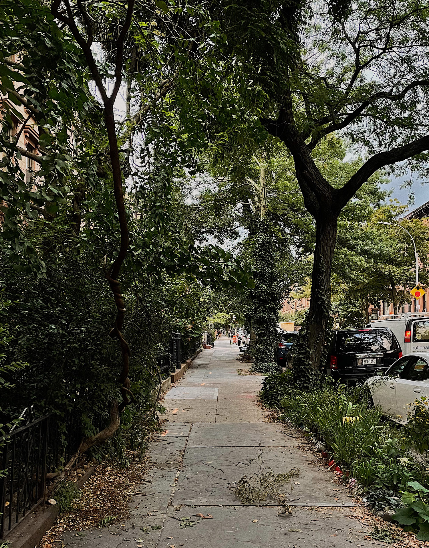 Prospect Heights Green