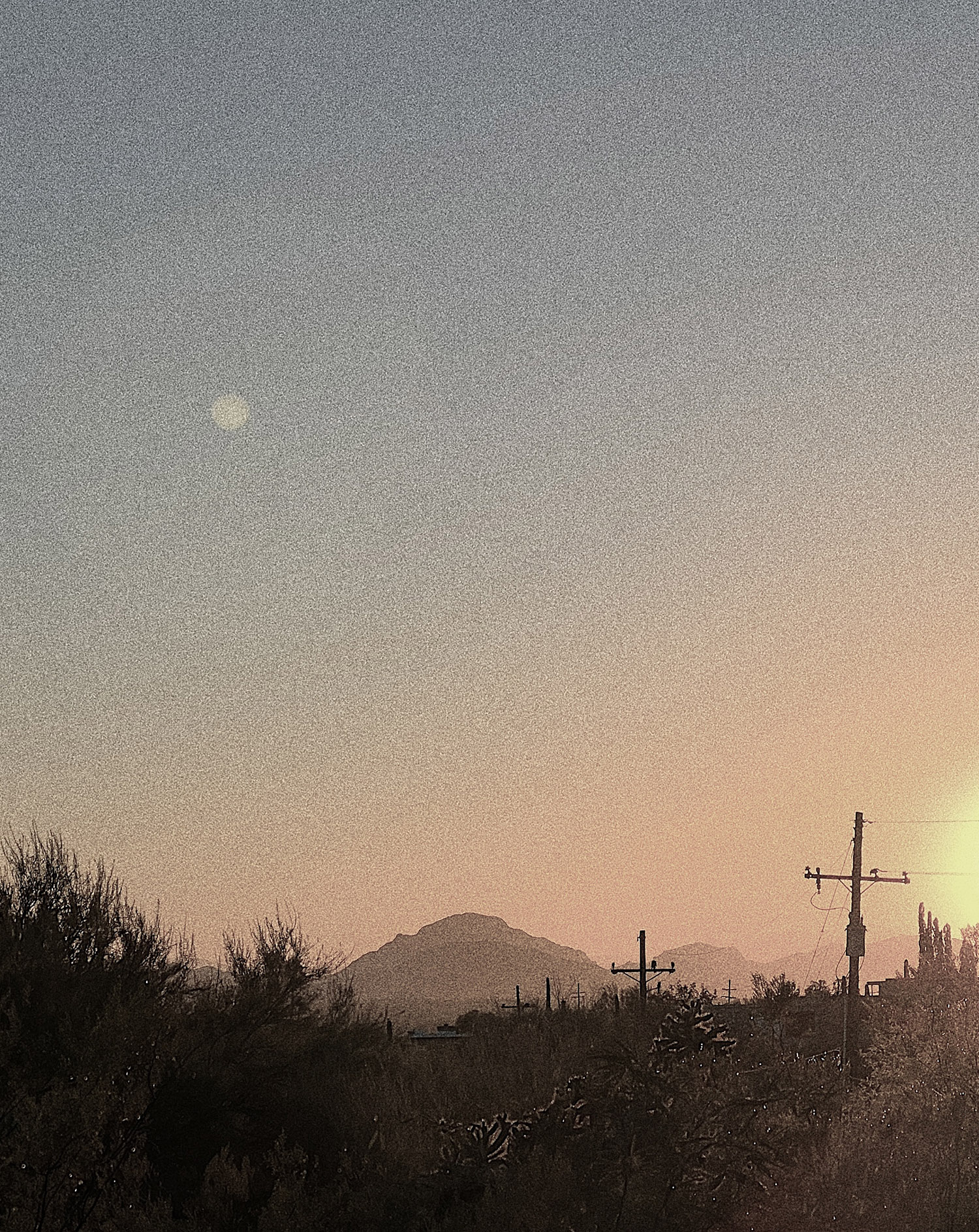 Moon / Desert