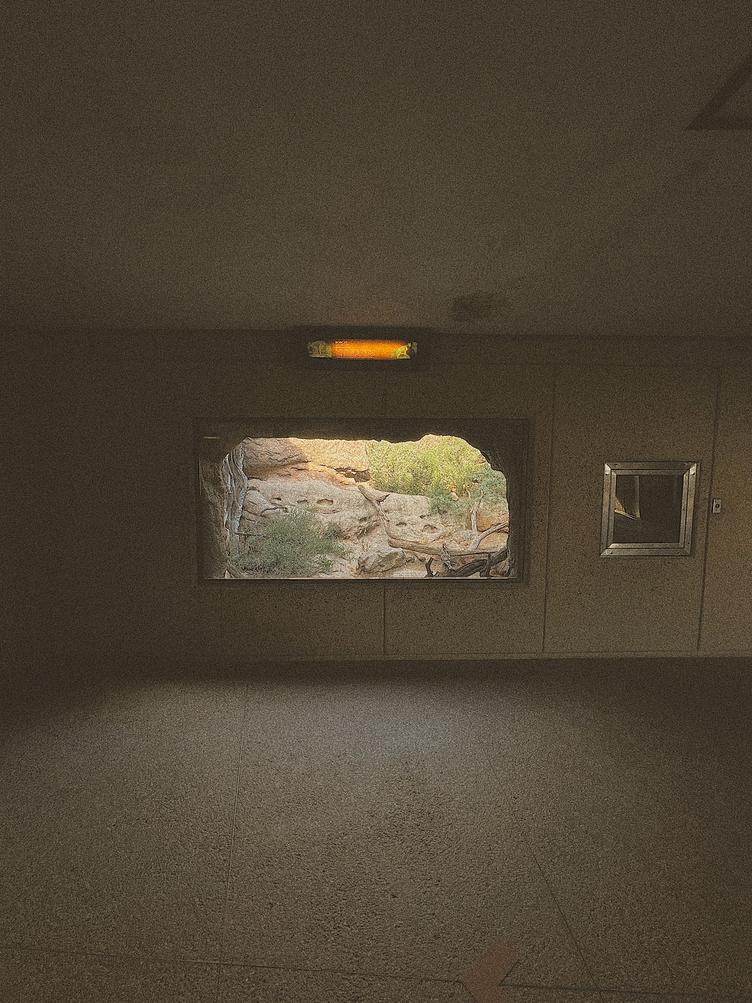 Desert Museum